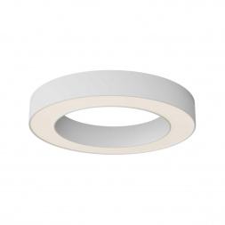 Потолочный светильник Maytoni Technical C093CL-36W3K-W