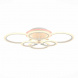 Потолочная светодиодная люстра Evoluce Cerina SLE500552-06RGB
