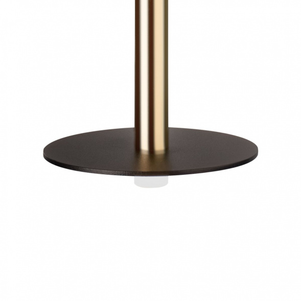 Подвесной светодиодный светильник Loft IT Reed 10358/830 Disk AB