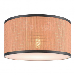 Потолочный светильник Velante 568-707-01