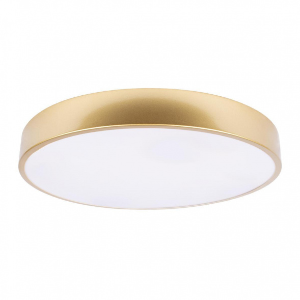 Потолочный светодиодный светильник Loft IT Flims 10228/A