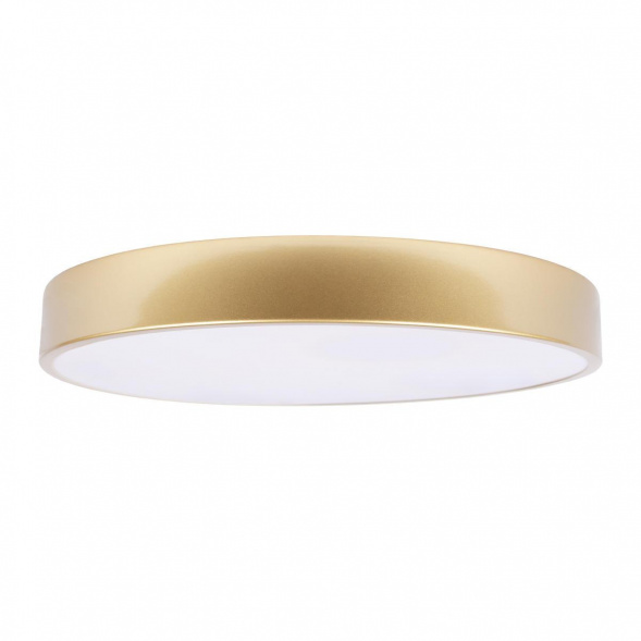 Потолочный светодиодный светильник Loft IT Flims 10228/A