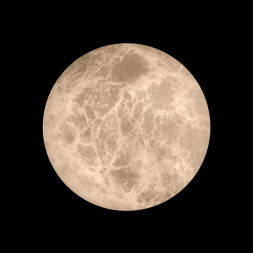 Настенный светильник LOFT IT Emi 10414W/S