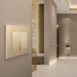 Рамка Werkel Aluminium на 1 пост шампань алюминий W0011711 4690389158001