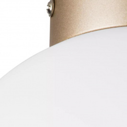 Настенно-потолочный светильник Lightstar Globo 812023