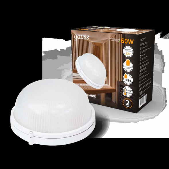 Настенно-потолочный светильник Gauss 926602106