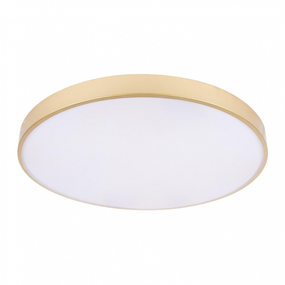 Потолочный светодиодный светильник Loft IT Flims 10228/B