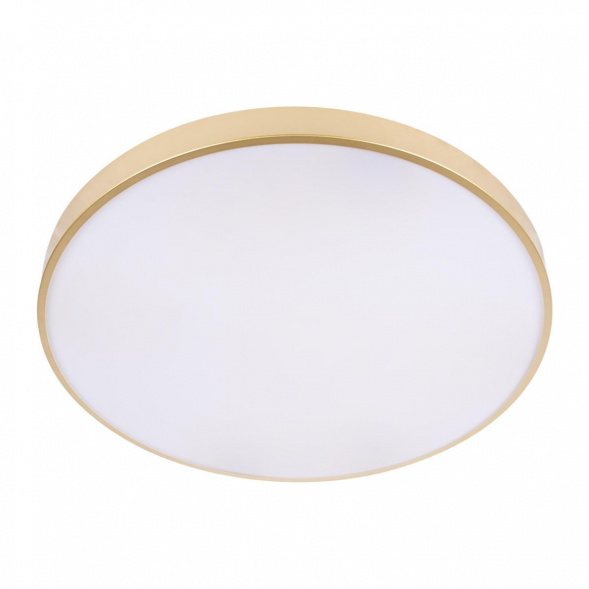 Потолочный светодиодный светильник Loft IT Flims 10228/B