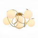 Потолочная люстра Evoluce Acini SL711.202.06