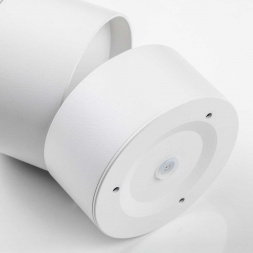 Накладной светодиодный светильник Lightstar Acuto 215886