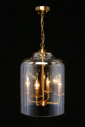 Подвесная люстра Aployt Polin APL.603.06.06