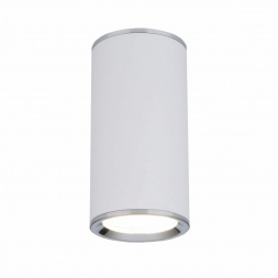 Потолочный светильник Elektrostandard DLN101 GU10 WH белый a043967