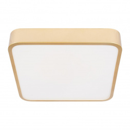 Потолочный светодиодный светильник Loft IT Flims 10228/C