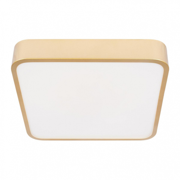 Потолочный светодиодный светильник Loft IT Flims 10228/C