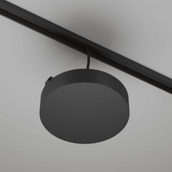 Источник напряжения Maytoni Technical TRA172DR-200W-DS-B