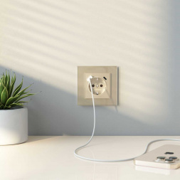 Рамка на 1 пост Werkel Favorit шампань W0011111 4690389159497