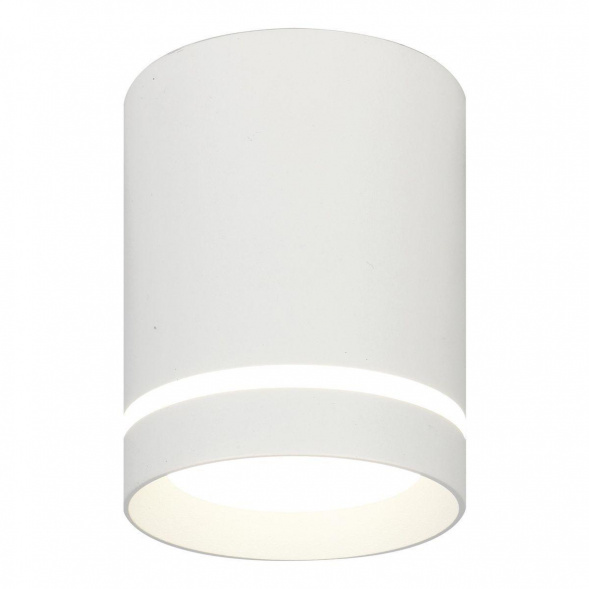 Потолочный светодиодный светильник Escada 20009SMU/01LED SWH