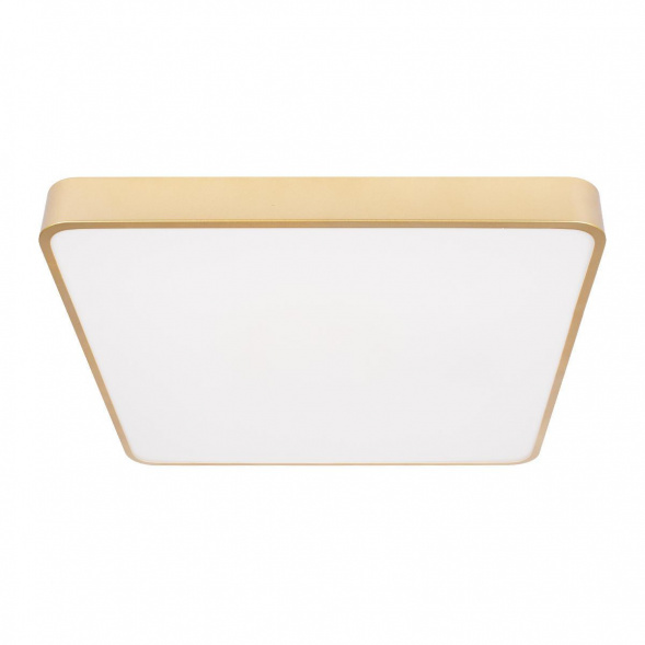 Потолочный светодиодный светильник Loft IT Flims 10228/D