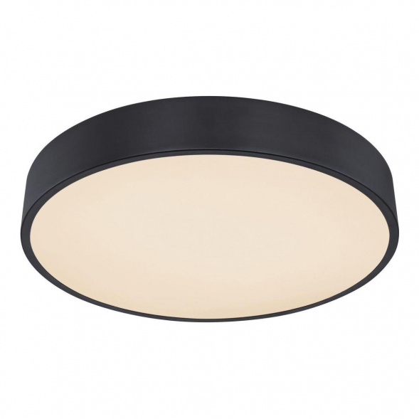 Потолочный светодиодный светильник Globo Leanara 41756-24B