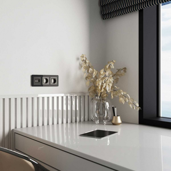 Накладка для двойной розетки Еthernet RJ-45 Werkel графит акрил W1191144 4690389197581