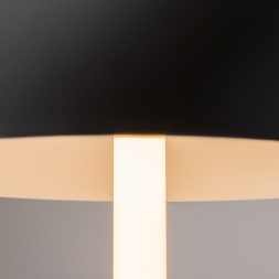 Настольная лампа Maytoni Ray Z012TL-L8B3K