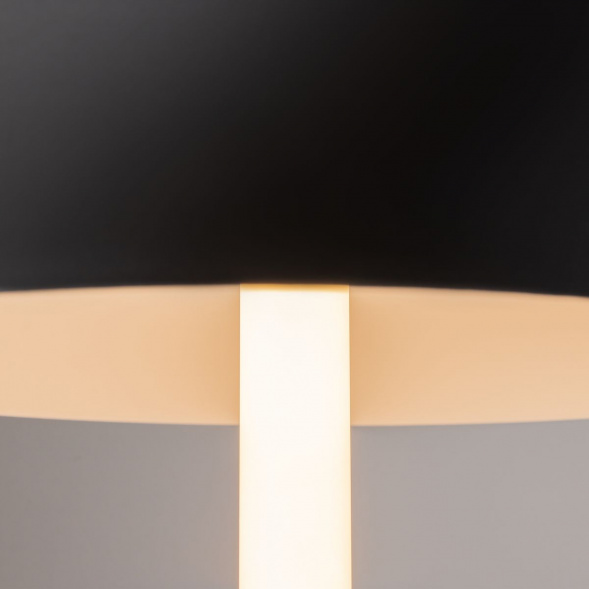 Настольная лампа Maytoni Ray Z012TL-L8B3K