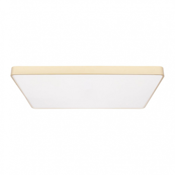 Потолочный светодиодный светильник Loft IT Flims 10228/E