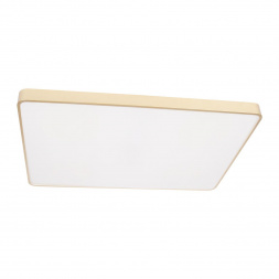 Потолочный светодиодный светильник Loft IT Flims 10228/E