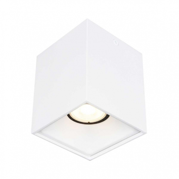 Накладной светильник ST LUCE ST168.502.01