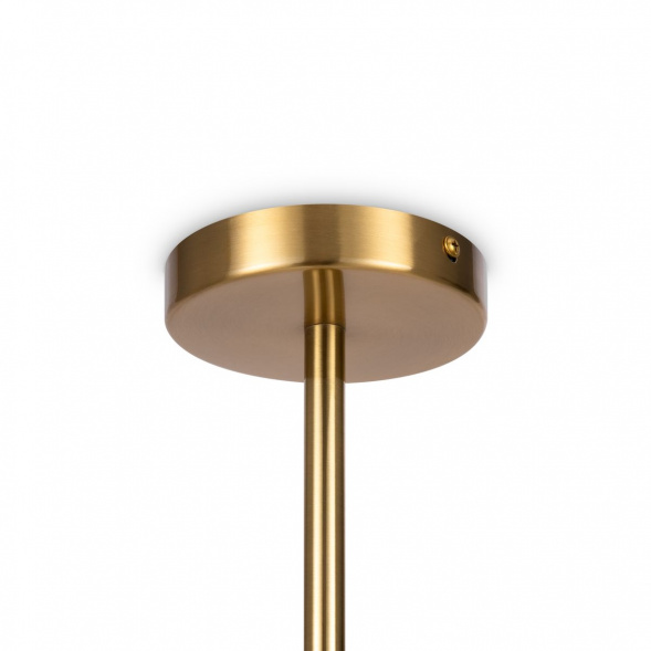 Подвесная люстра Freya Blossom FR5259PL-02BS