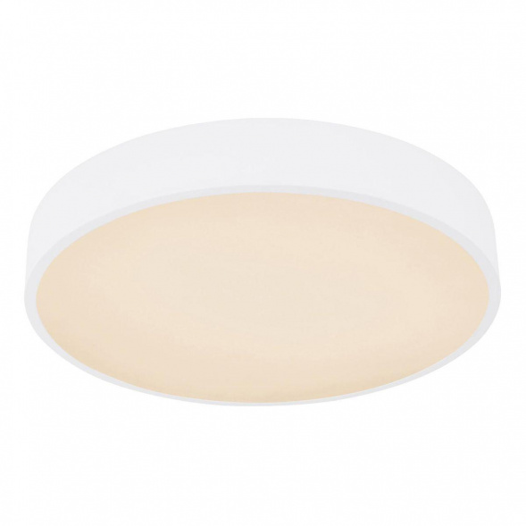 Потолочный светодиодный светильник Globo Leanara 41756-24W