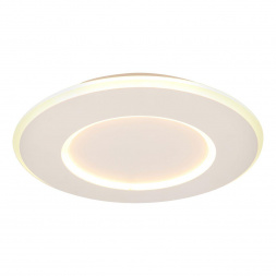 Потолочный светодиодный светильник Lucide Axelle 44110/24/31