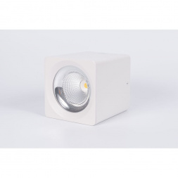 Потолочный светодиодный светильник Fiberli CH-SD220-1 12120101