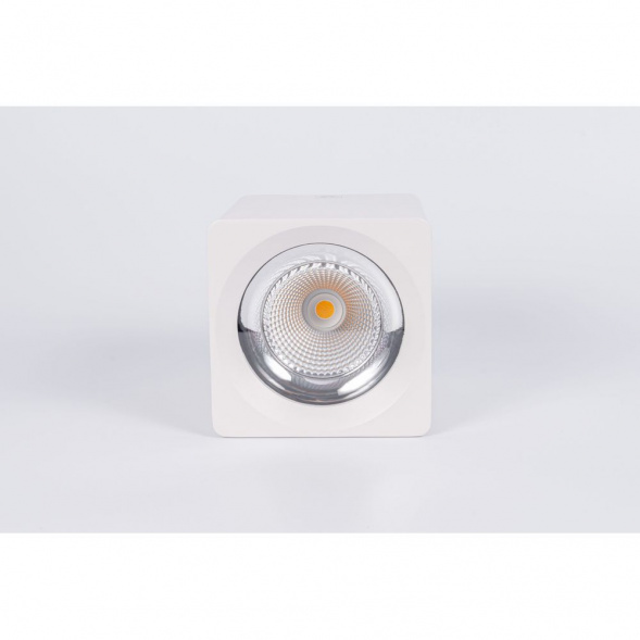 Потолочный светодиодный светильник Fiberli CH-SD220-1 12120101