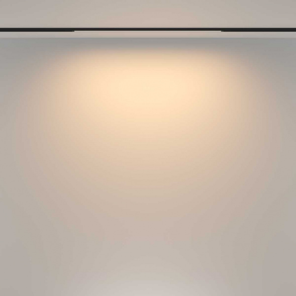 Трековый светильник Maytoni Technical TR173-1-16WTW-B