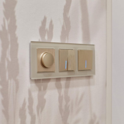 Выключатель двухклавишный с подсветкой Werkel шампань рифленый W1120110 4690389160233