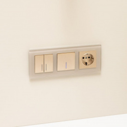 Выключатель двухклавишный с подсветкой Werkel шампань рифленый W1120110 4690389160233