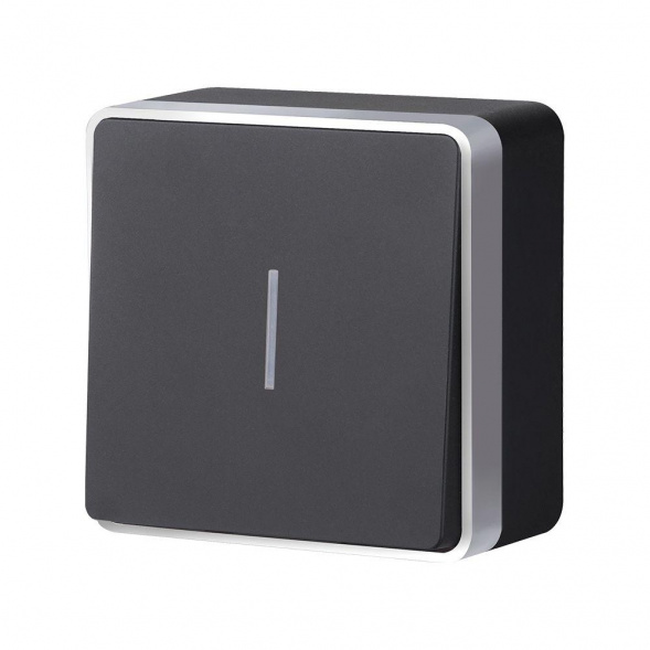 W5010134/ Выключатель одноклавишный с подсветкой Gallant (черный с серебром)