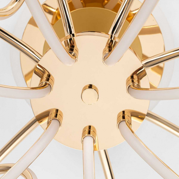 Потолочная светодиодная люстра Citilux Salma Smart CL224A172