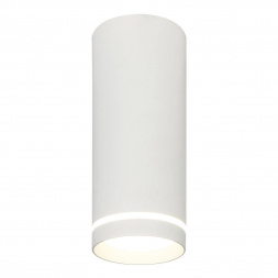 Потолочный светодиодный светильник Escada 20009SMU/02LED SWH