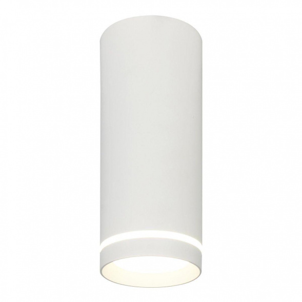 Потолочный светодиодный светильник Escada 20009SMU/02LED SWH