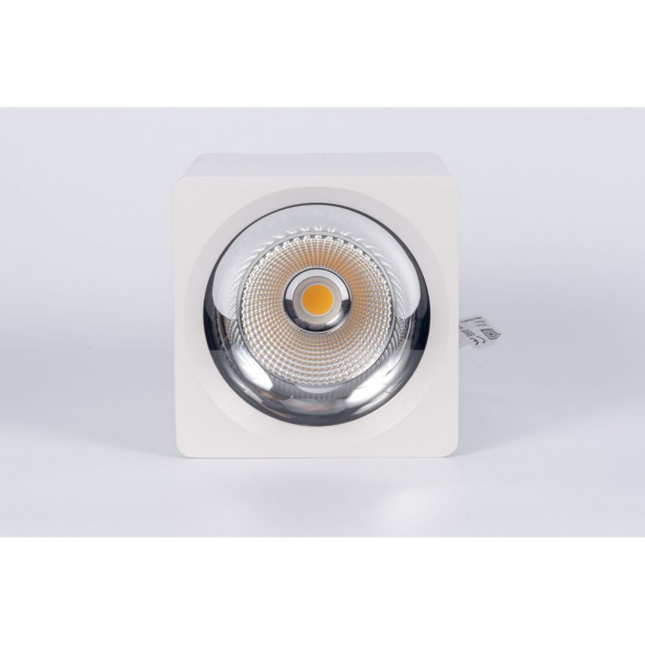 Потолочный светодиодный светильник Fiberli CH-SD230-1 12120102