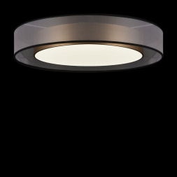 Потолочный светодиодный светильник Freya Zoticus FR6005CL-L48G