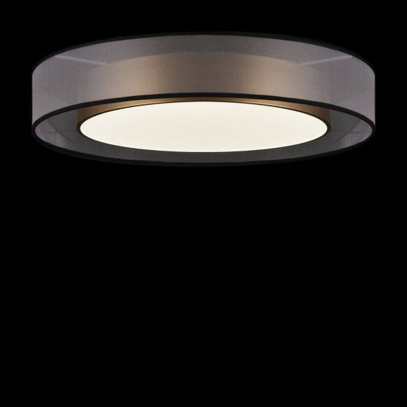 Потолочный светодиодный светильник Freya Zoticus FR6005CL-L48G