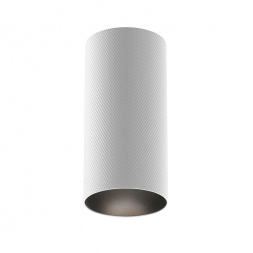 Потолочный светильник Maytoni Technical Artisan C080CL-01-GU10-W