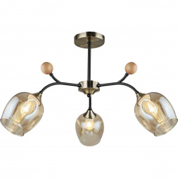 Потолочный светильник Reluce 02009-0.3-03 AB+BK