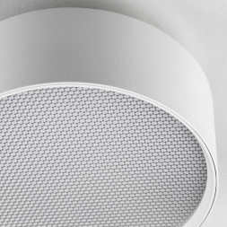 Светильник накладной Lightstar Acuto 215936