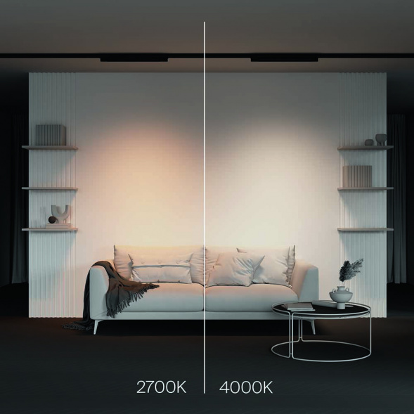 Трековый светодиодный светильник Maytoni Technical Basis TR196-3-20W2.7K-B