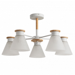 Потолочная люстра Arte Lamp Tyler A1031PL-5WH