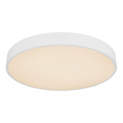 Потолочный светодиодный светильник Globo Leanara 41756-36W